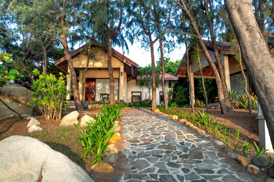 Stone walkway through a garden